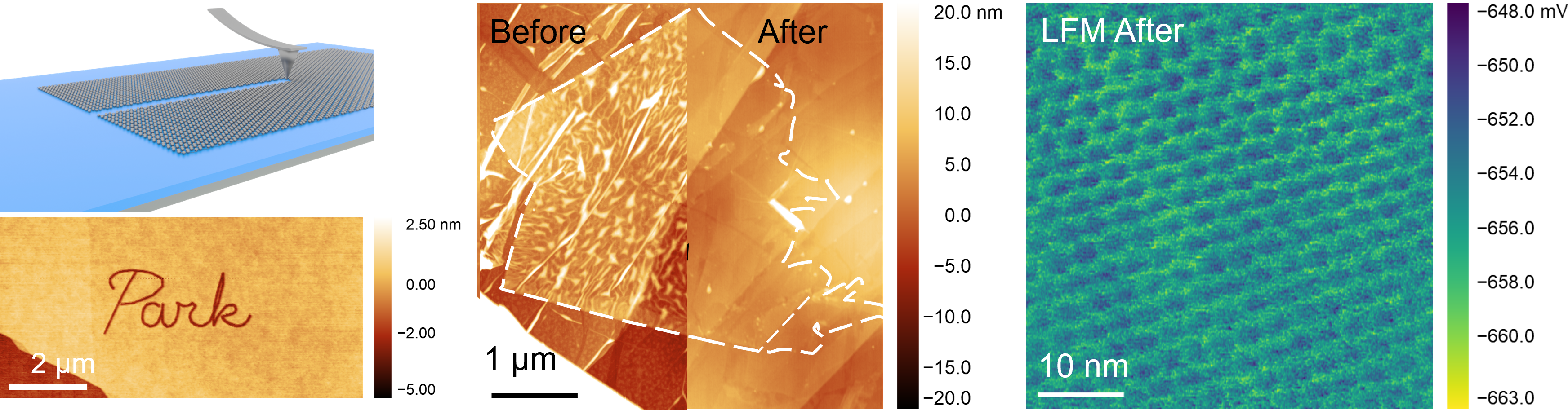 Manipulation Q1 25.png